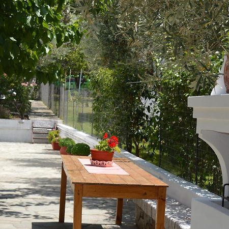 סטפילוס Anna George Studios מראה חיצוני תמונה