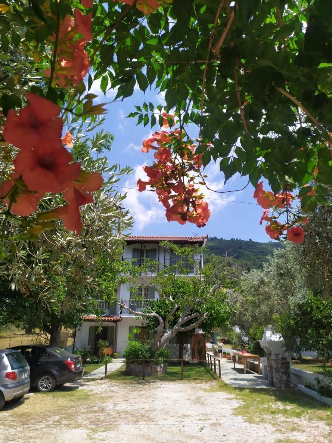 סטפילוס Anna George Studios מראה חיצוני תמונה